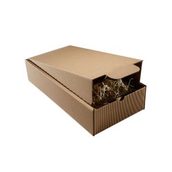PROPACK 2er Gesch-Karton K-200 braun