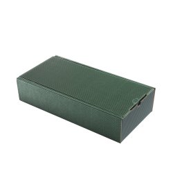 PROPACK 2er Geschenkskarton K-204 gr�n