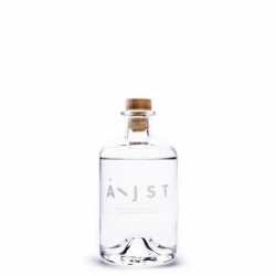 AEIJST STYRIAN PALE BIO GIN 40ML