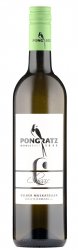 PONGRATZ GM S�dsteiermark DAC Classic