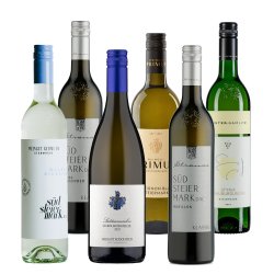 Verkostungspaket S�DSTEIERMARK 1
