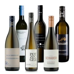 Verkostungspaket S�DSTEIERMARK 2